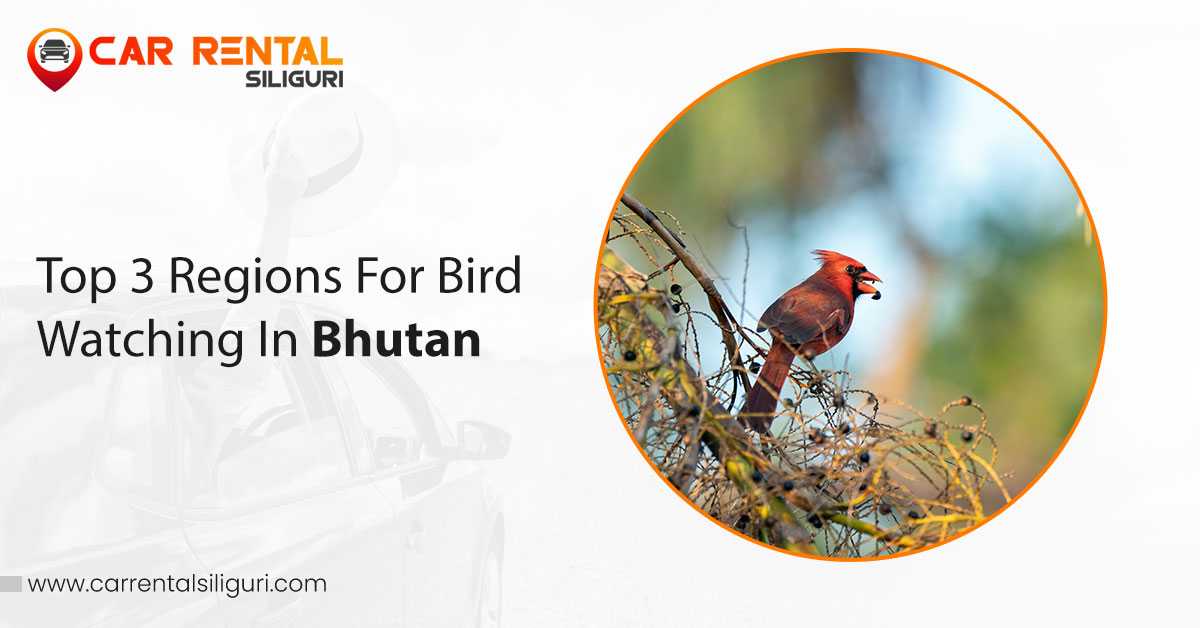 Bird Watching in Bhutan