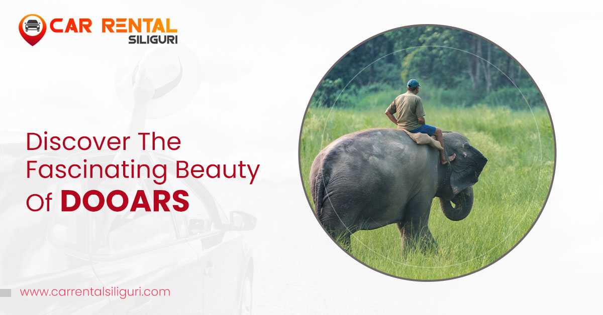Discover The Fascinating Beauty Of Dooars