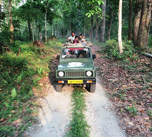 Jungle Safari in Dooars Tour