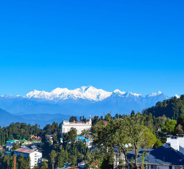 Darjeeling Himalayan Delight