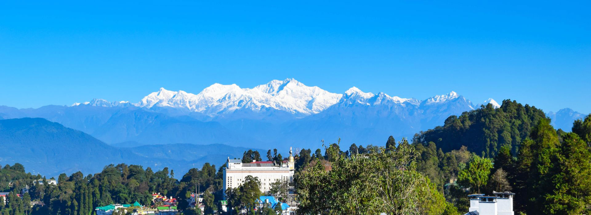 Darjeeling Himalayan Delight